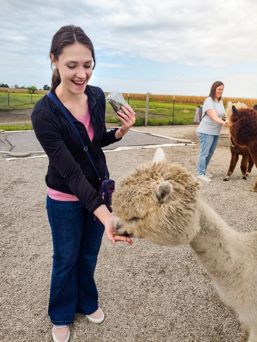 Alpacas and Our next big adventure: we’re moving!